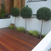 Balau decking and rendered walls