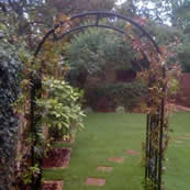 Rose Arch